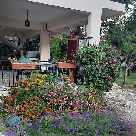 Hotel Teo