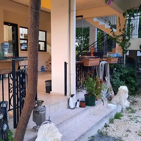 Hotel Teo *