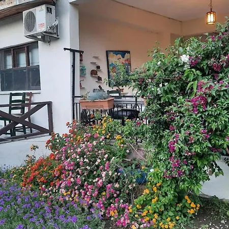 Hotel Teo Hotel&pansion Çıralı