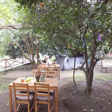 Hotel Teo Çıralı